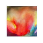 Anne Schwartz | Whirling Clusters