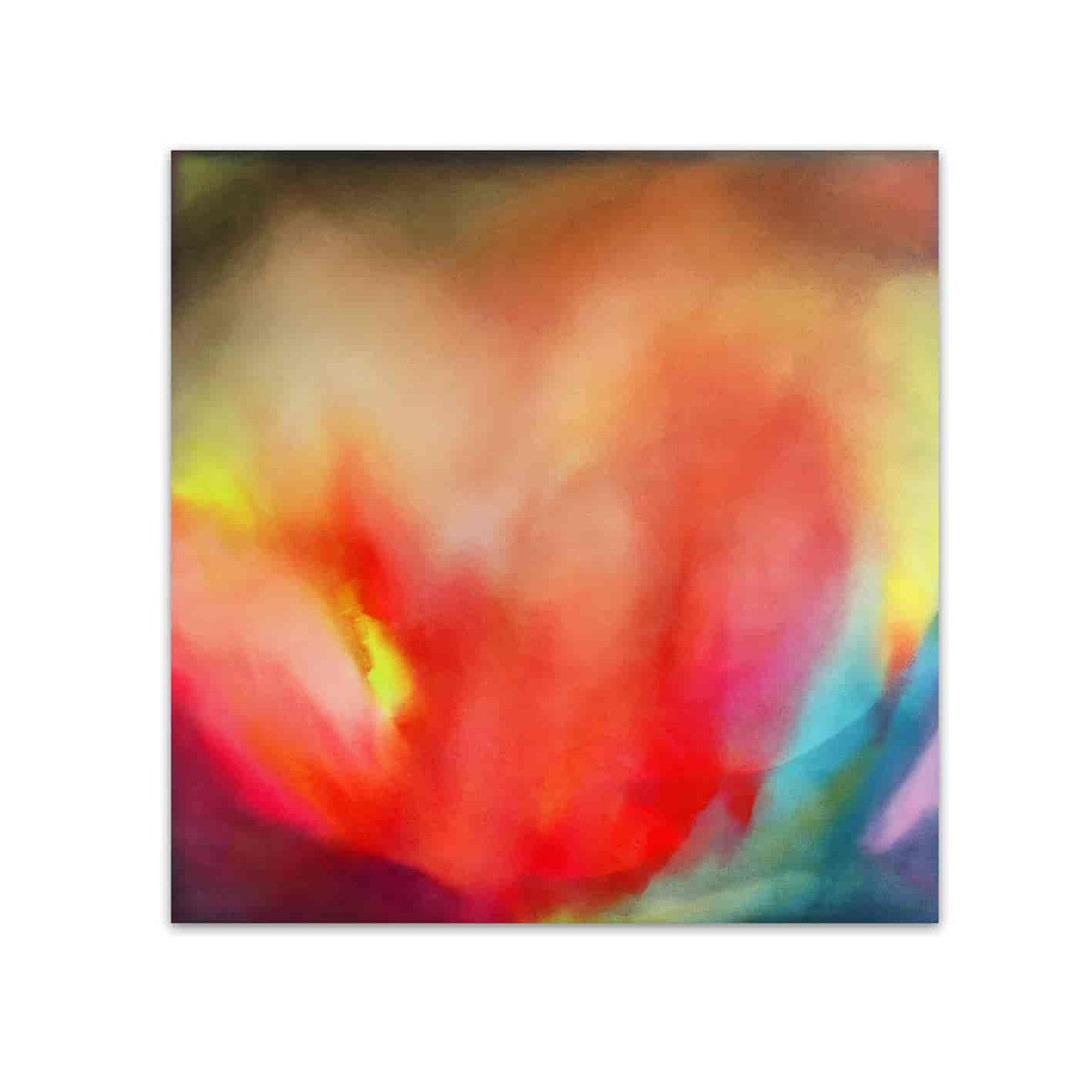 Anne Schwartz | Whirling Clusters