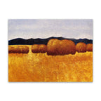 Brown Field