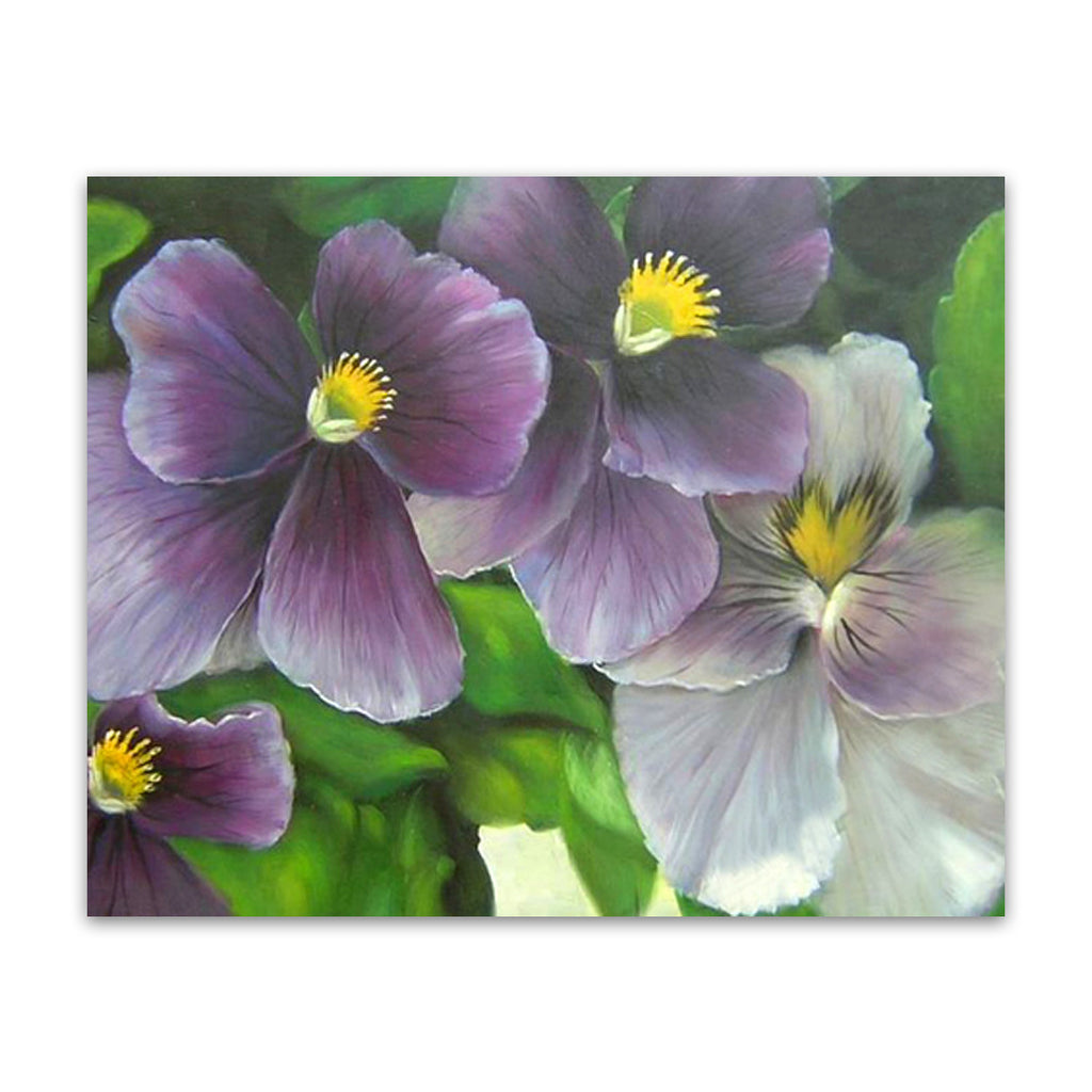 Violets