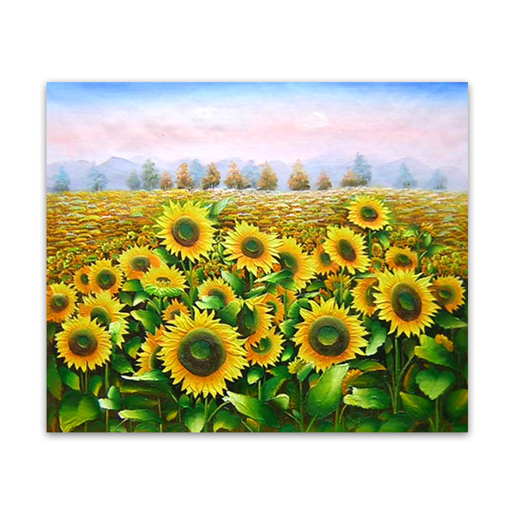 Sunflowers