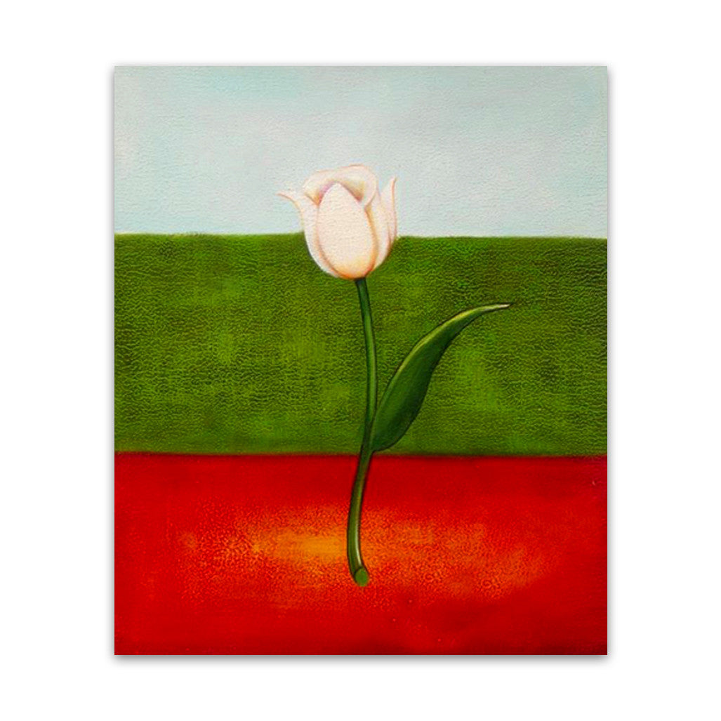 White Tulip