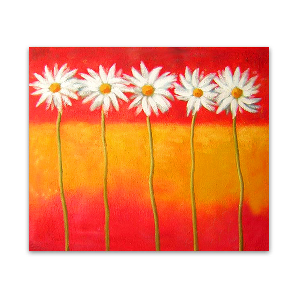 Daisies One