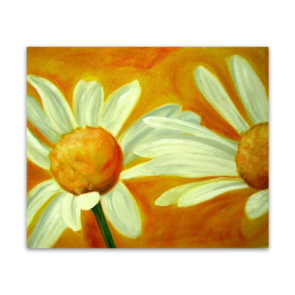 Daises Two