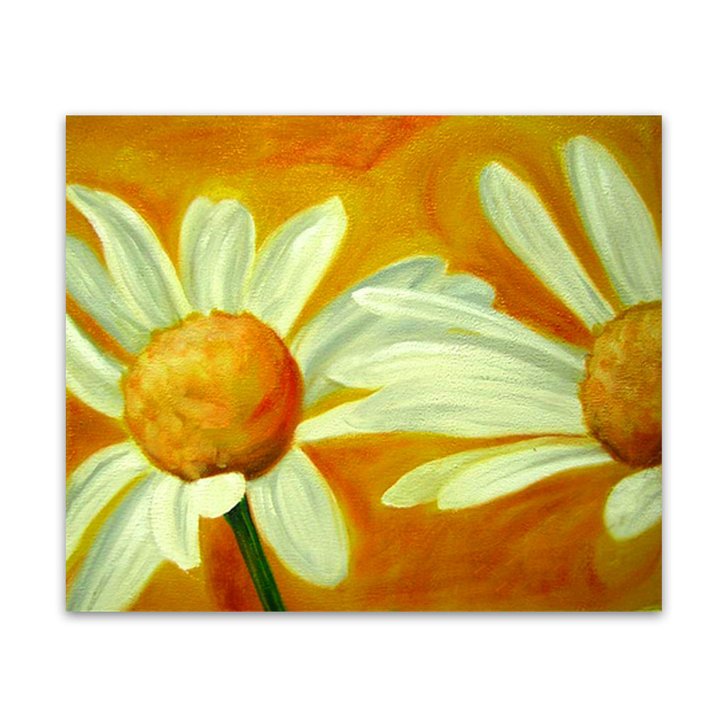 Daises Two