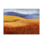 Body of Land