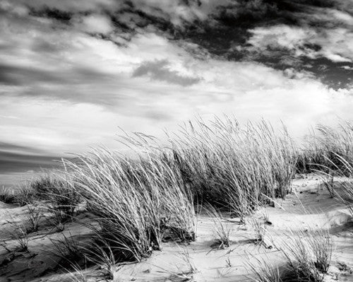 Beach Dunes Wall Art Print
