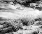 Beach Dunes Wall Art Print