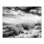 Beach Dunes Wall Art Print