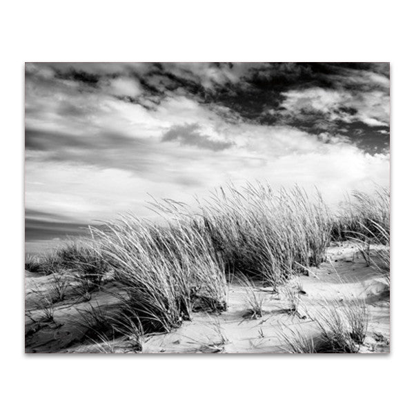 Beach Dunes Wall Art Print