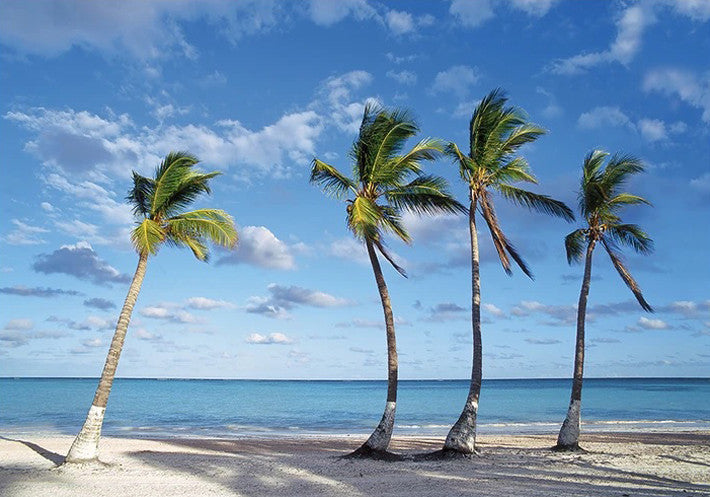 Beach Palm Trees Wall Art Print