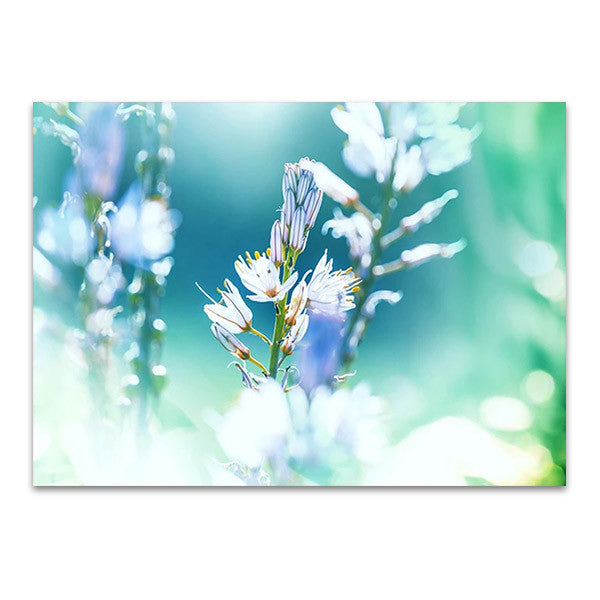 Beautiful Flower Wall Art Print