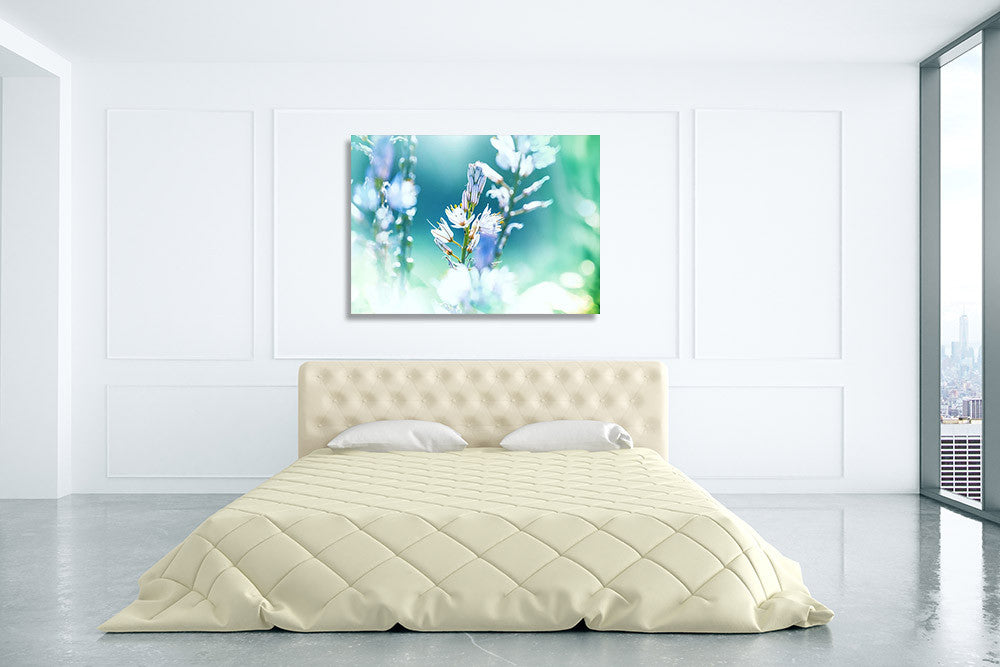 Beautiful Flower Wall Art Print on the wall