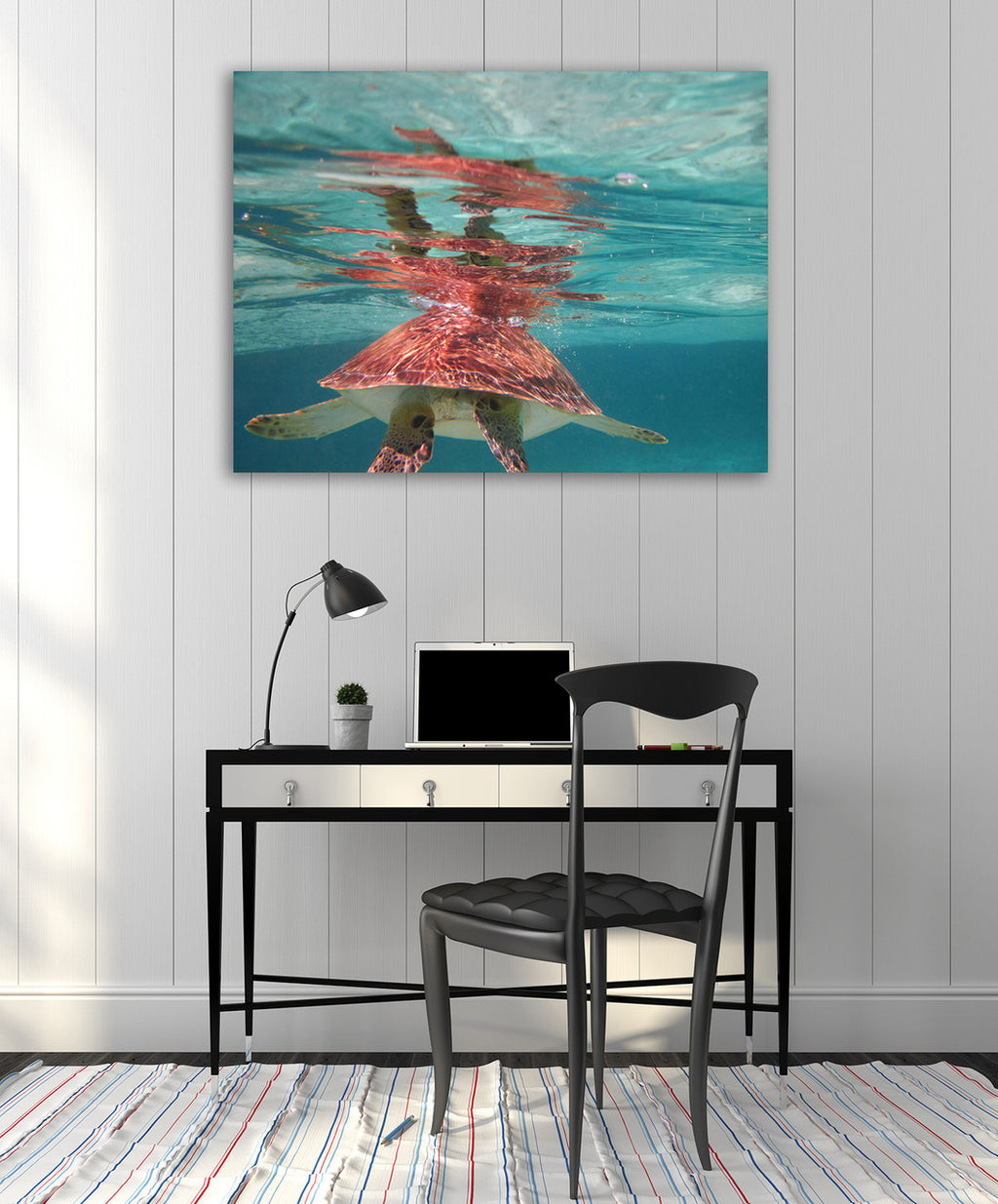 Belize Turtle Wall Art Print on the wall