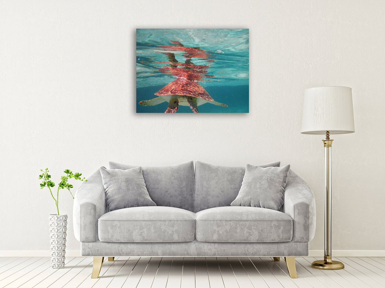 Belize Turtle Wall Art Print on the wall