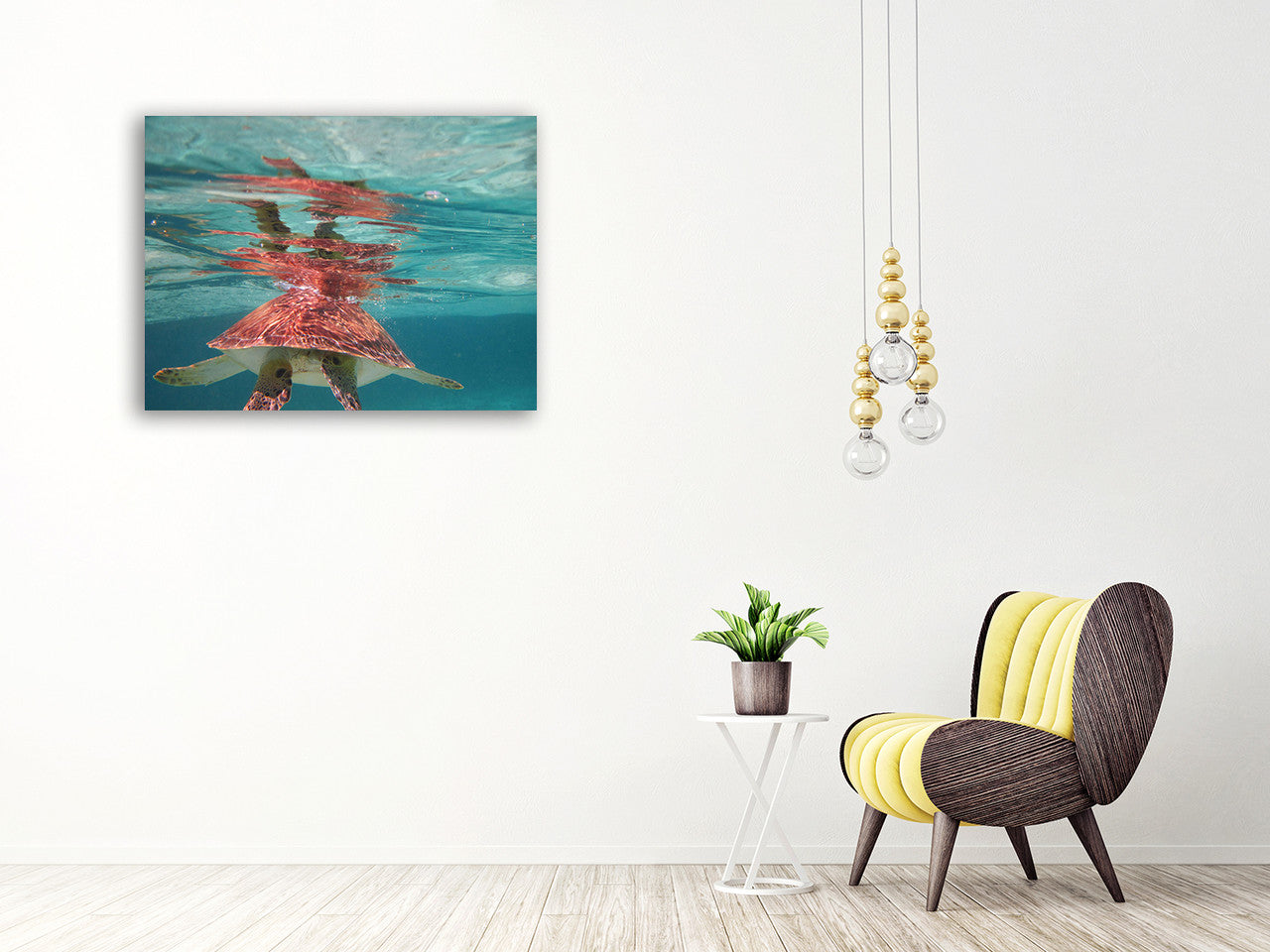 Belize Turtle Wall Art Print on the wall