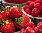 Berries III Wall Art Print