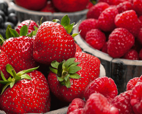 Berries III Wall Art Print