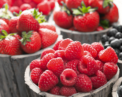 Berries II Wall Art Print
