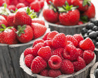 Berries II Wall Art Print