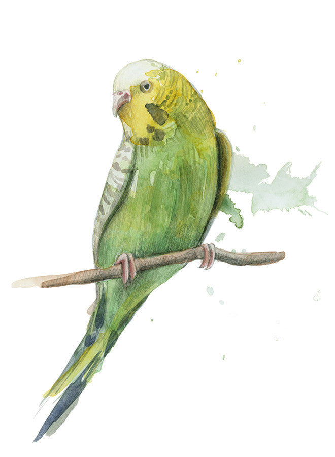 Bird II Wall Art Print