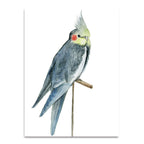 Bird I Wall Art Print