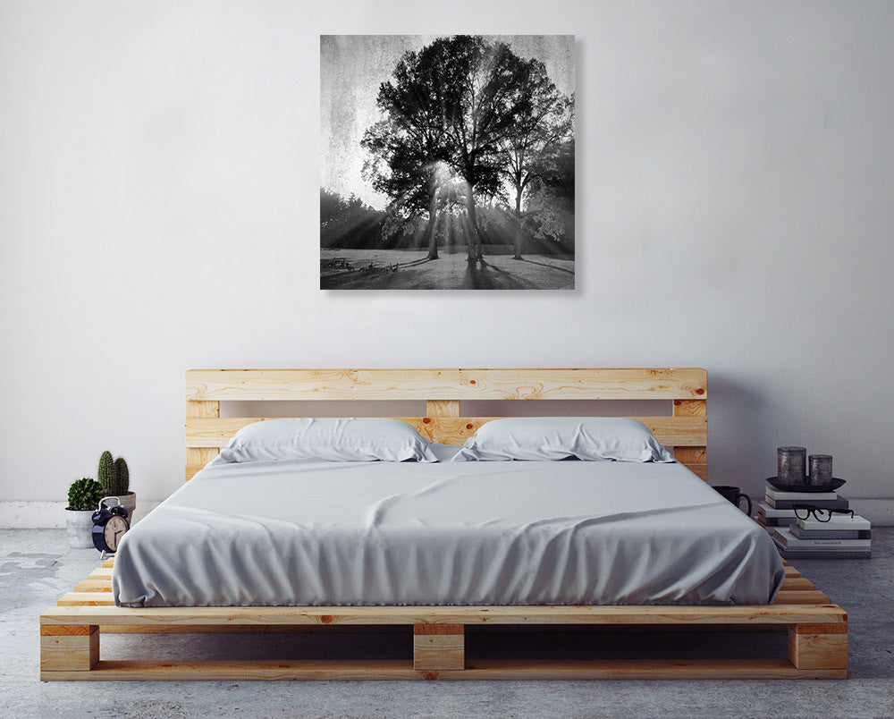 Black and White Trees Wall Art Print on the wall
