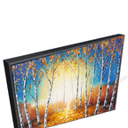 Black Floating Frame