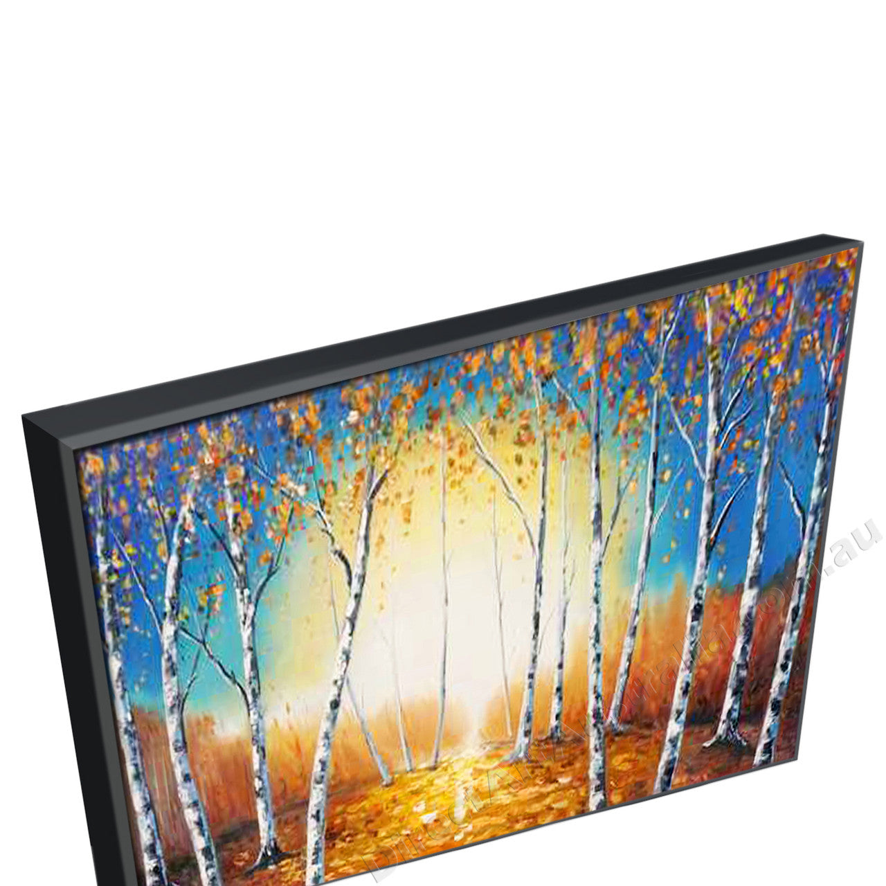Black Floating Frame