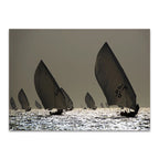 Boat Sailing Wall Art Print