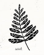 Botanical Sketches II Wall Art Print