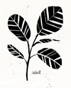 Botanical Sketches IV Wall Art Print