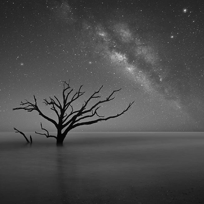 Botany Bay Australia Wall Art Print