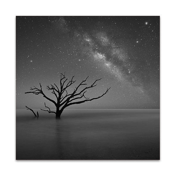 Botany Bay Australia Wall Art Print