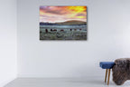 Brumbies in Australia Wall Art Print on the wall