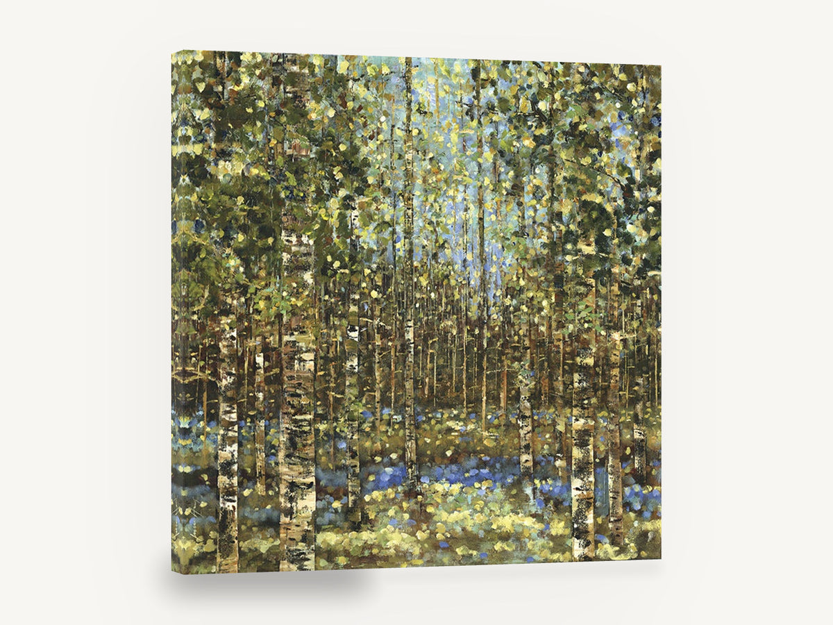 Birch Grove Bluebells, birch forest bluebells painterly landscape, landscape canvas wall art print ready to hang