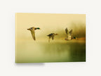 Mallards in Morning Mist, flying mallard ducks over misty lake, landscape canvas wall art print ready to hang