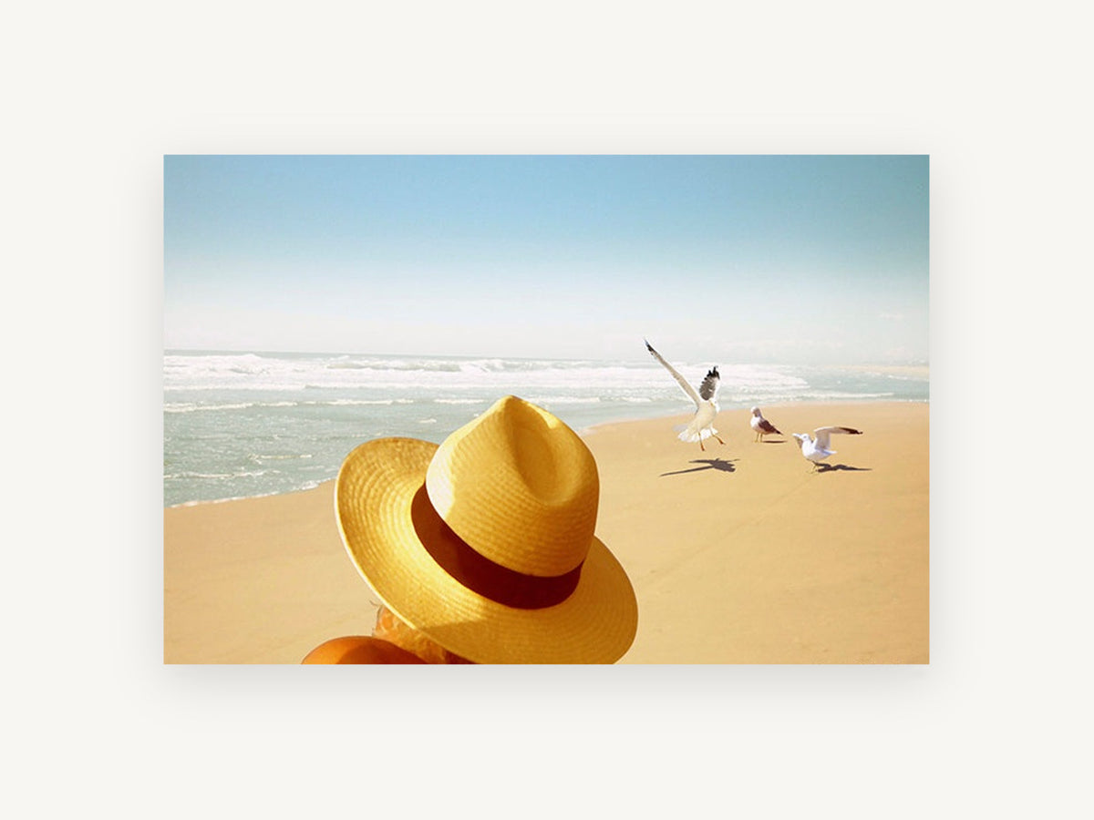 Hat and Seagulls, coastal canvas wall art print, front view