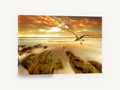 Gull Over Golden Shore, seagull over golden beach sunrise photograph, coastal canvas wall art print ready to hang