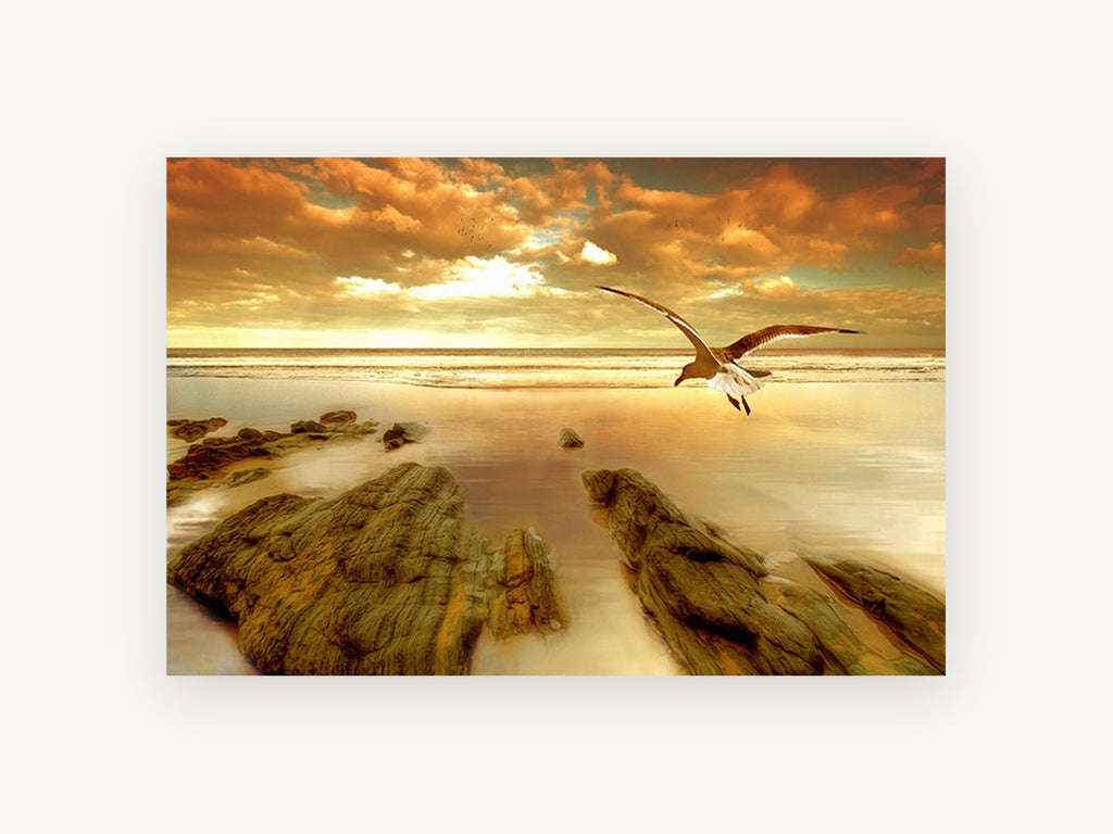 Gull Over Golden Shore, coastal canvas wall art print, front view