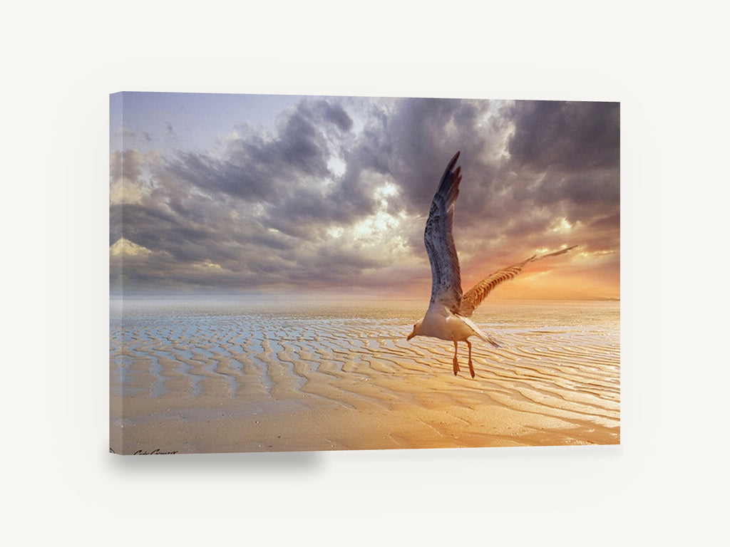 Gull Over Rippled Sands, seagull over rippled beach sunrise, coastal canvas wall art print ready to hang