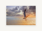 Gull Over Rippled Sands, coastal canvas wall art print, front view