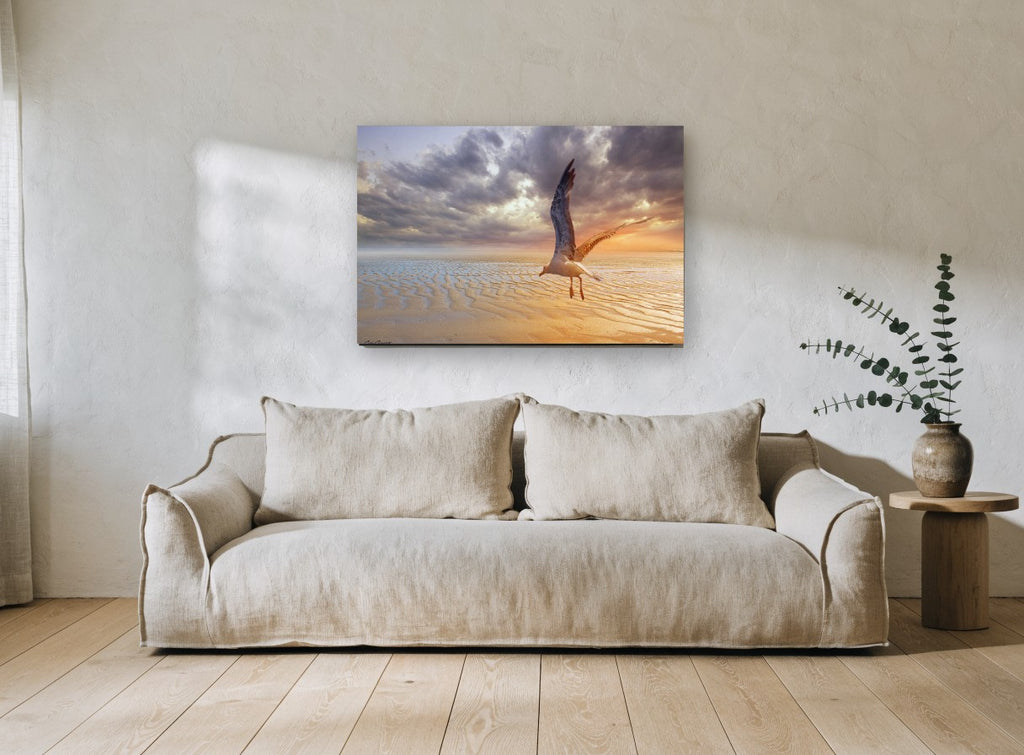Gull Over Rippled Sands coastal canvas print on the wall of a living room