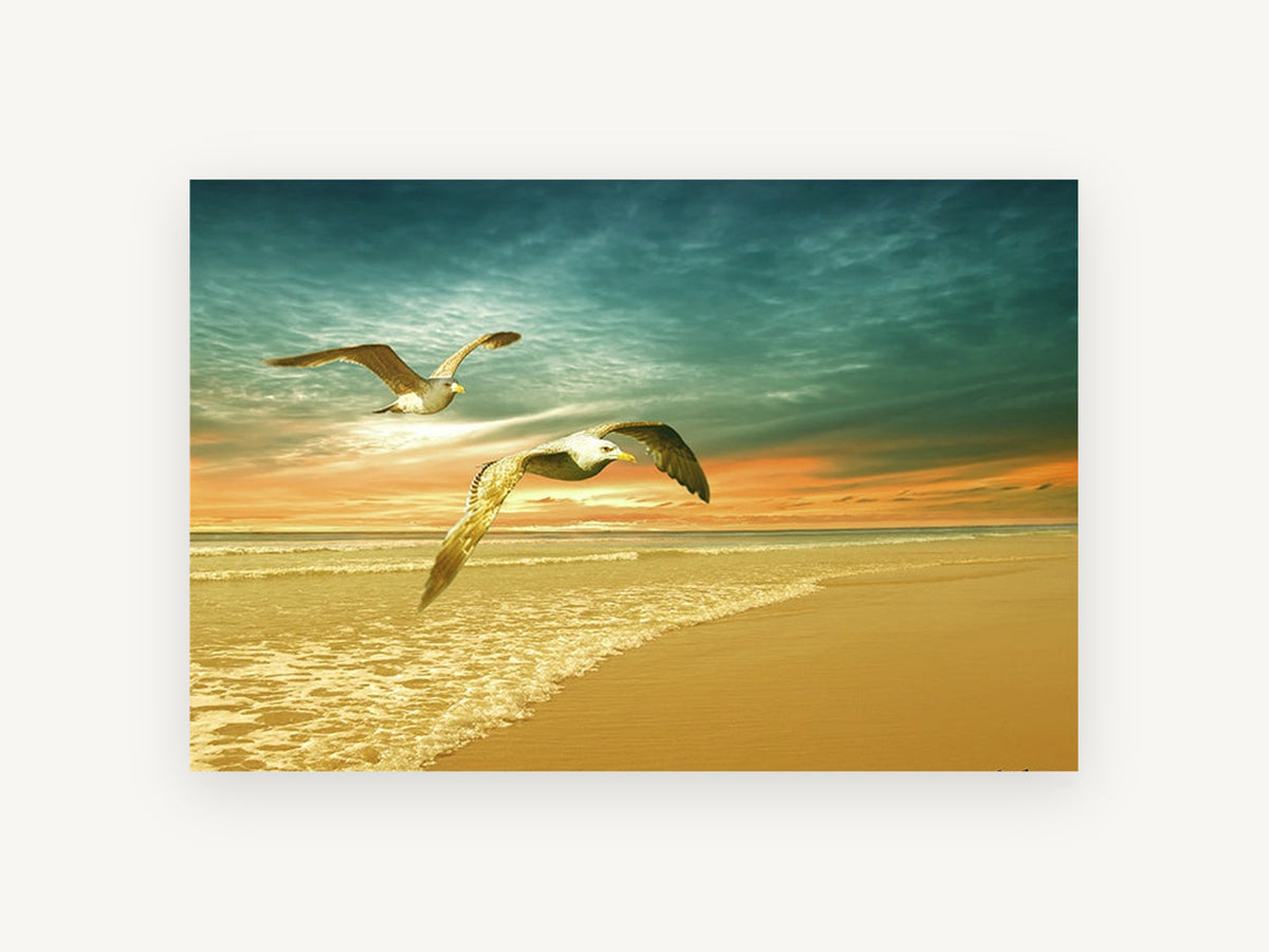 Gulls at Golden Dawn, coastal canvas wall art print, front view