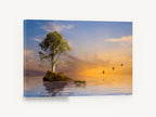 Lone Tree Dusk Flight, lone tree island sunset birds photograph, coastal canvas wall art print ready to hang