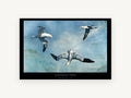 Gannets in Flight, coastal canvas wall art print, front view
