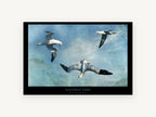 Gannets in Flight, coastal canvas wall art print, front view