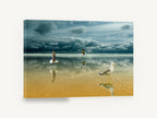 Gulls on Mirror Sands, seagulls on wet beach photograph, coastal canvas wall art print ready to hang