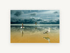 Gulls on Mirror Sands, coastal canvas wall art print, front view