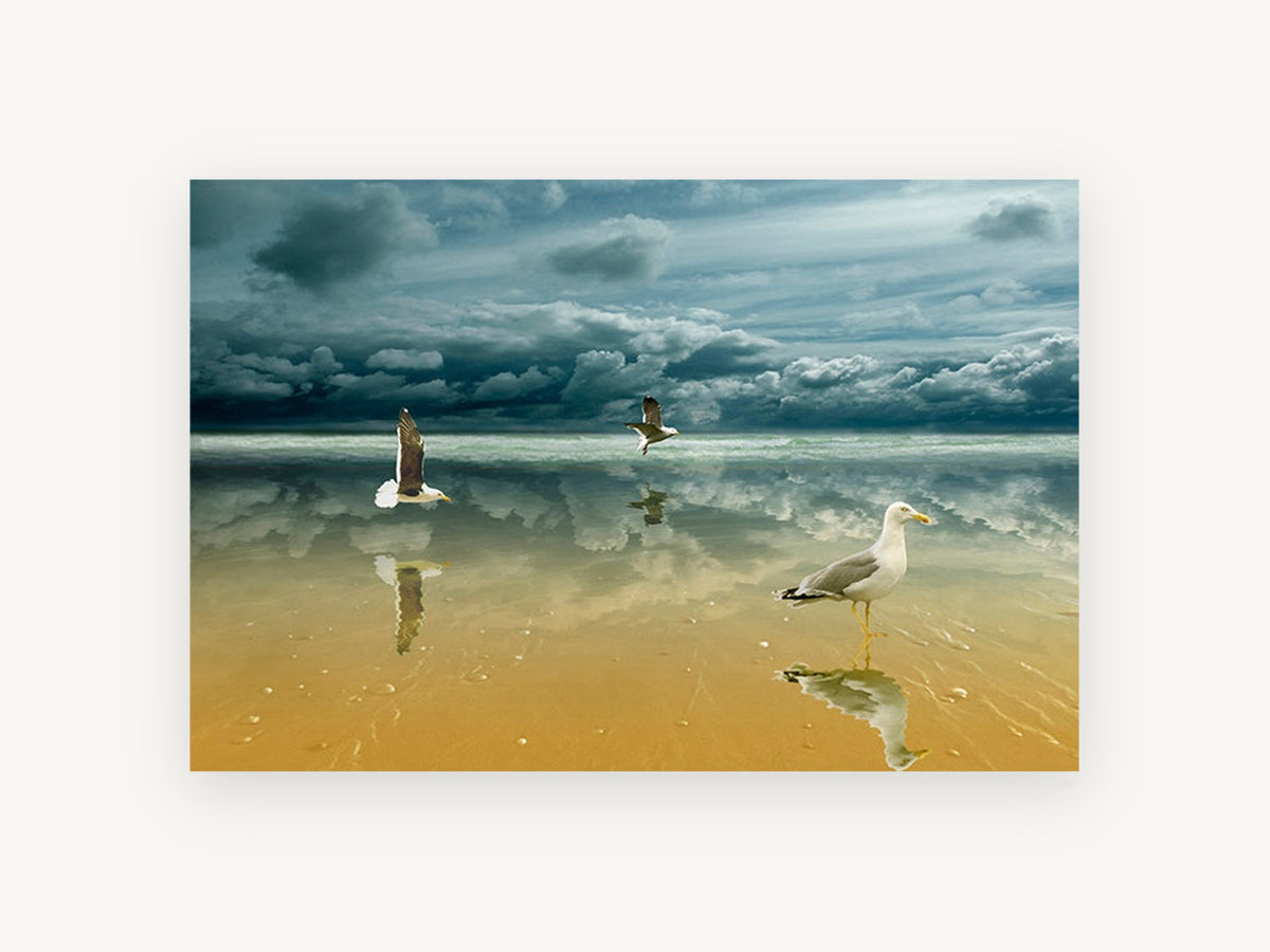 Gulls on Mirror Sands, coastal canvas wall art print, front view